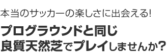プログラウンドと同じ良質天然芝でプレイしませんか?