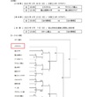 第28回富山県サッカー選手権